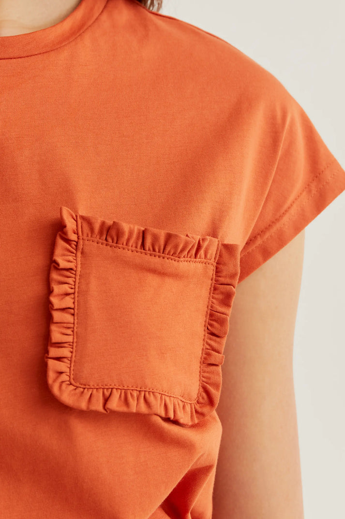 Maglietta basic marrone in 100% cotone